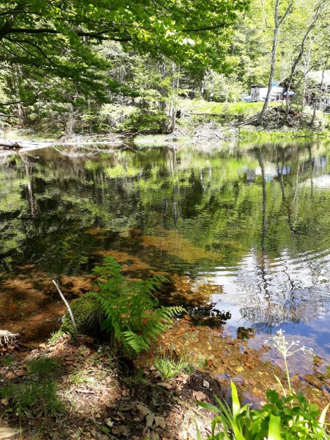 Ferienhaus Bayerwald Ringelai Eksteriør billede